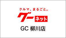 グーネットGC柳川店